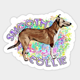 Shorthair Collie Splash Sticker